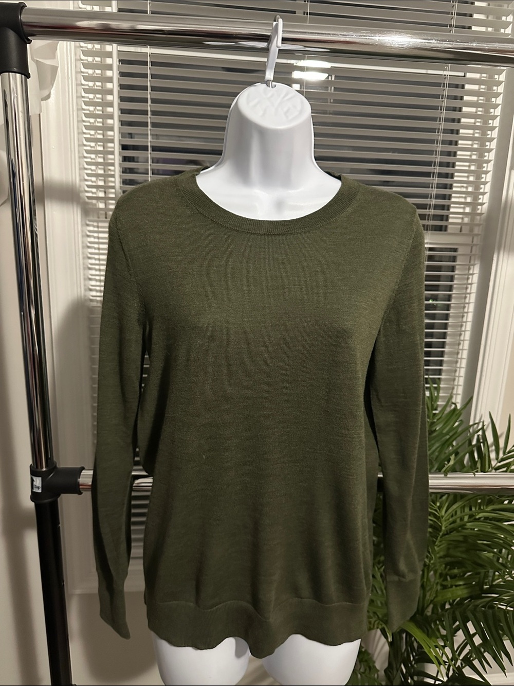 Banana Republic Olive Crewneck Sweater
